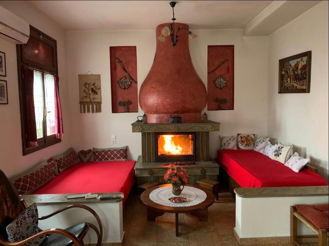 Η Θεα Traditional House Makrinítsa المظهر الخارجي الصورة
