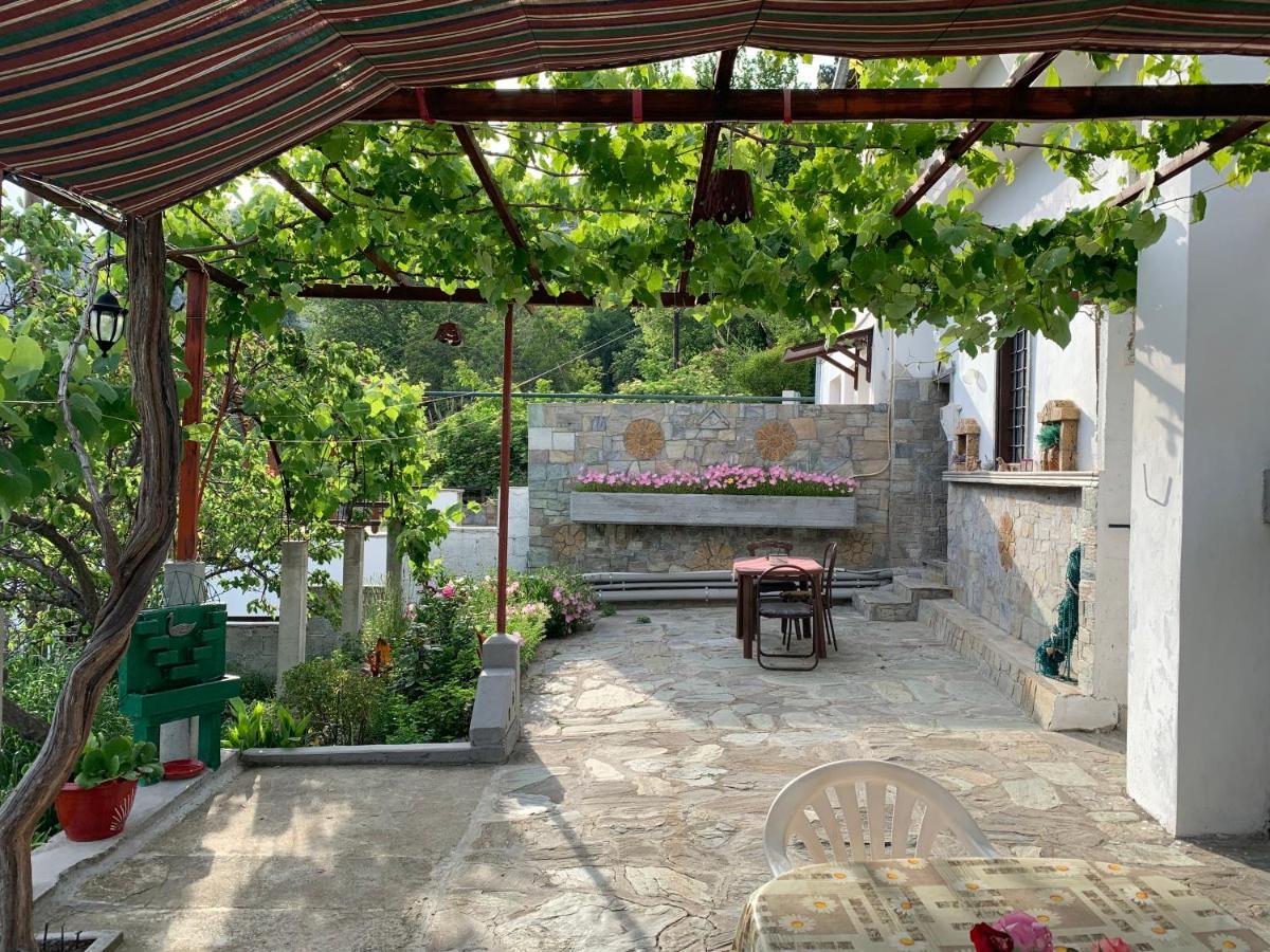 Η Θεα Traditional House Makrinítsa المظهر الخارجي الصورة
