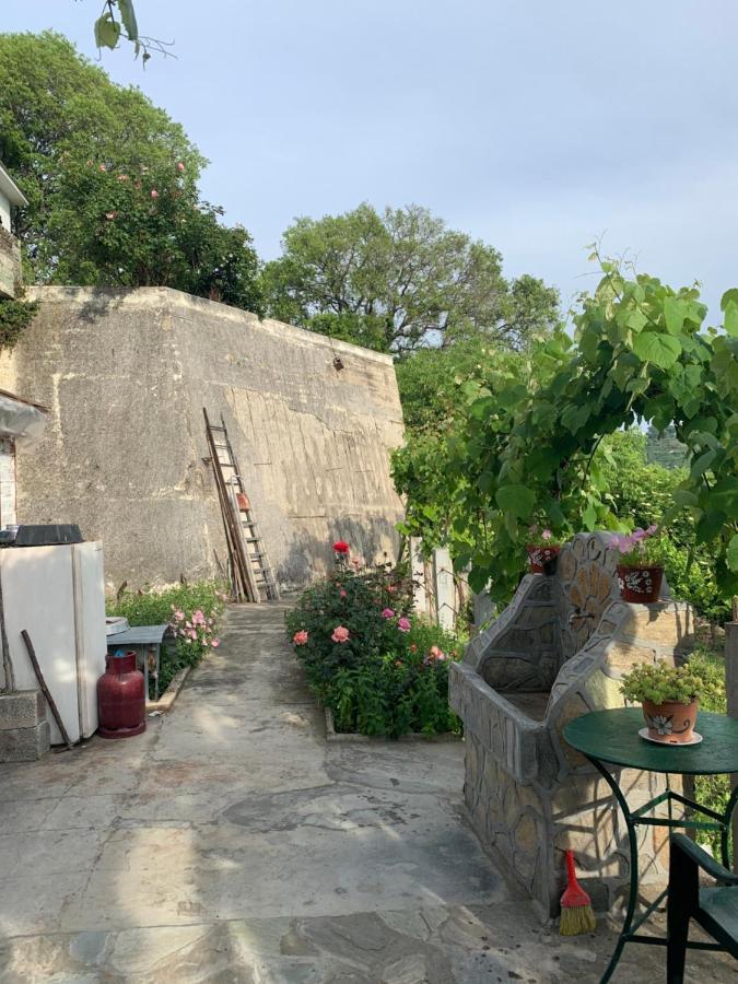 Η Θεα Traditional House Makrinítsa المظهر الخارجي الصورة